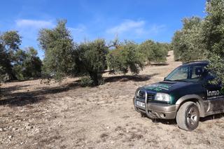 Finca rústica en Íllora