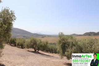 Rural plot in Íllora