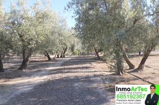 Finca rústica a Pinos Puente