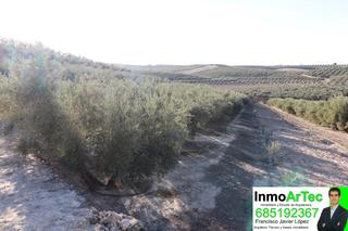 Rural plot in Pinos Puente