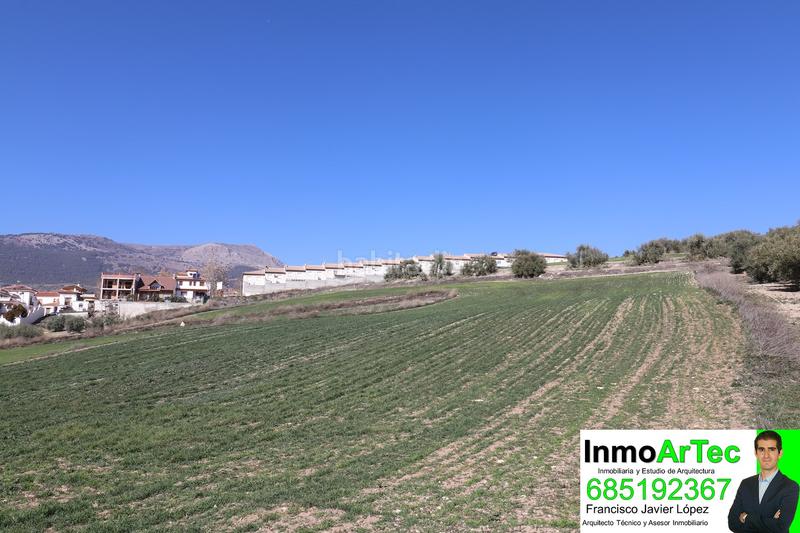 Foto c42b4a1b-c4d5-4f51-90ba-8c3ee468236e. Terrain résidentiel dans calle mariana pineda 1 dans Íllora