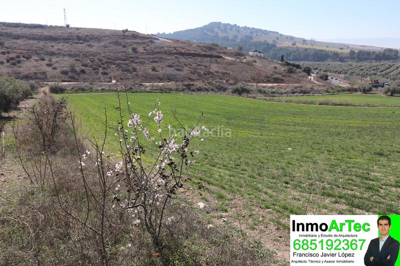 Foto eb1ea65f-7487-413e-891f-0532f7acc33b. Terrain résidentiel dans calle mariana pineda 1 dans Íllora