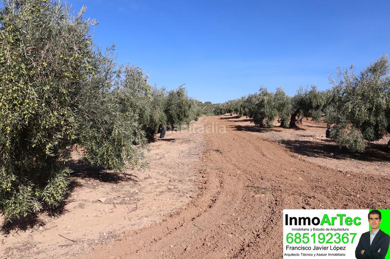 Foto 0384c106-4bb3-41da-b684-672e5414fef9. Masía casa cortijo y campo de olivos en Iznalloz