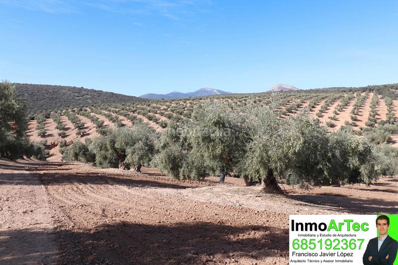 Foto 0f5434de-cdc0-4fad-9b4b-f31e7e5619a9. Masía casa cortijo y campo de olivos en Iznalloz
