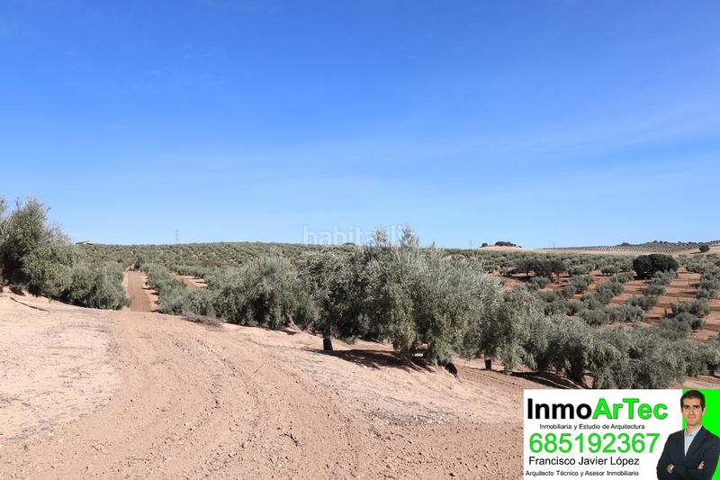 Foto 1a44b4f8-5faf-4930-8aee-828dfeb8669d. Masía casa cortijo y campo de olivos en Iznalloz