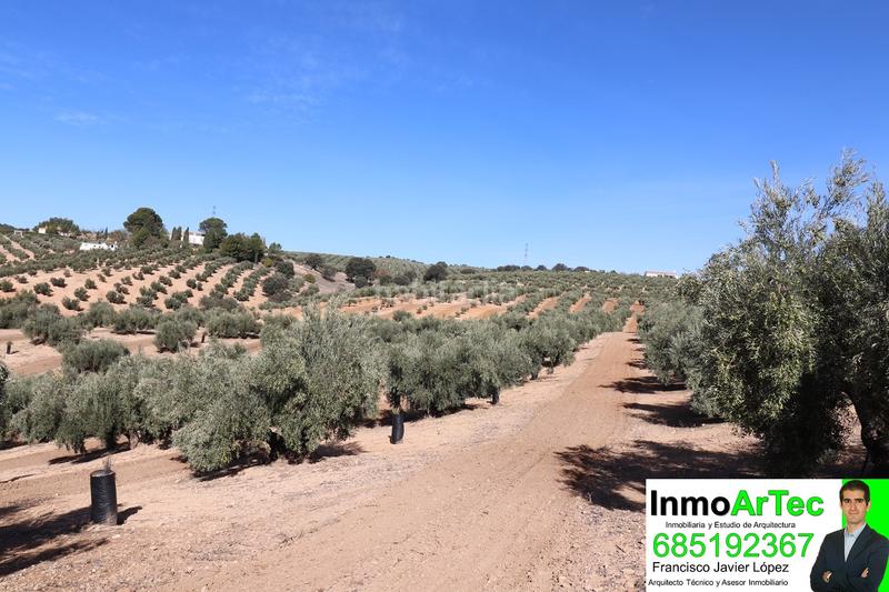 Foto 3375657b-784b-4c32-b6a4-fa0728681373. Masía casa cortijo y campo de olivos en Iznalloz