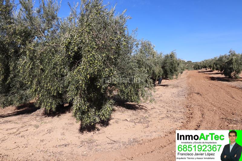 Foto 60531532-9997-48af-83f4-2c913e39f3d2. Masía casa cortijo y campo de olivos en Iznalloz
