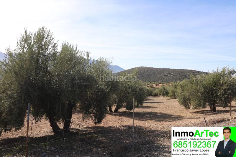 Foto 6748277b-bd0d-4ff2-84e7-d0125681d384. Masía casa cortijo y campo de olivos en Iznalloz