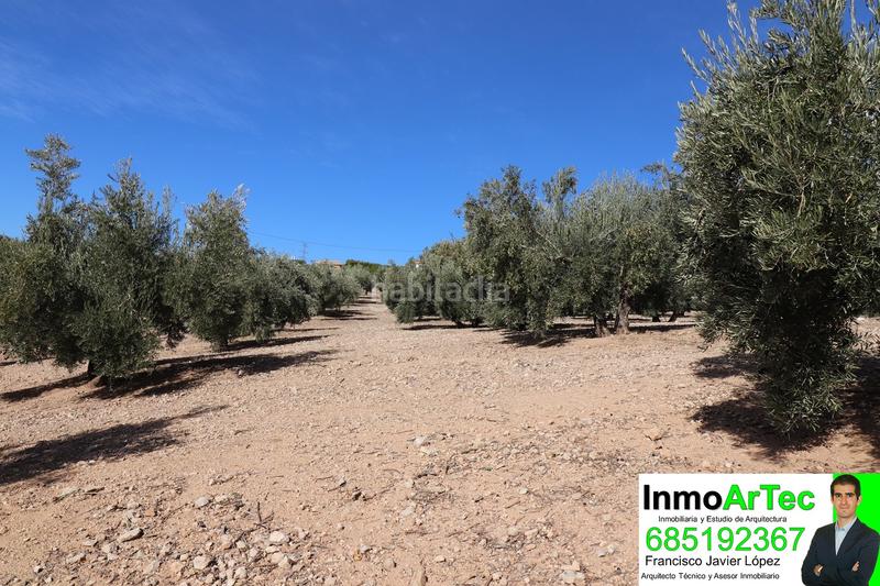 Foto 755d6f45-d660-4cef-89ff-7f5438e3bcb4. Masía casa cortijo y campo de olivos en Iznalloz