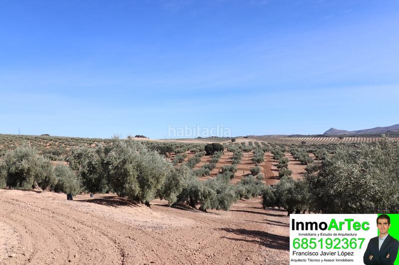Foto a09c9b3b-4c30-4a8c-8acb-5e3811bc567d. Masía casa cortijo y campo de olivos en Iznalloz