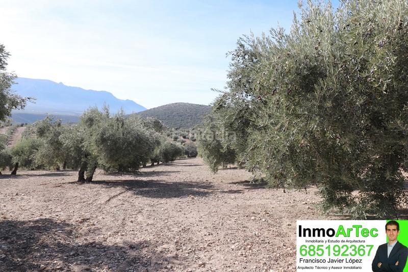 Foto bc12ce39-384e-4b0c-ae9e-5b6583d26279. Masía casa cortijo y campo de olivos en Iznalloz