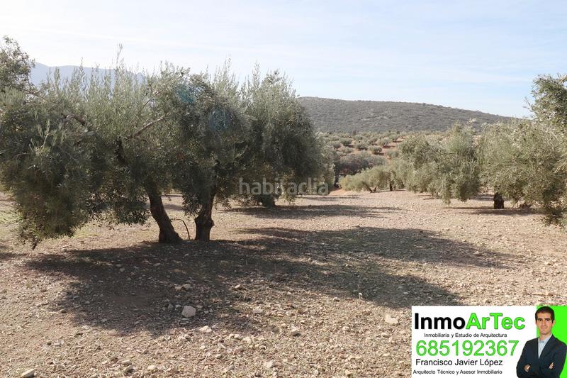 Foto bf61251c-9102-4102-9936-aad472968e5a. Masía casa cortijo y campo de olivos en Iznalloz