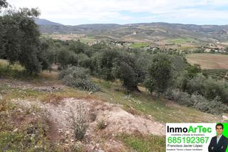 Propriété à Calle valle de milanos 419