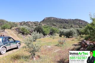 Rural plot in Íllora