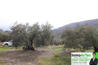 Finca rústica en Íllora