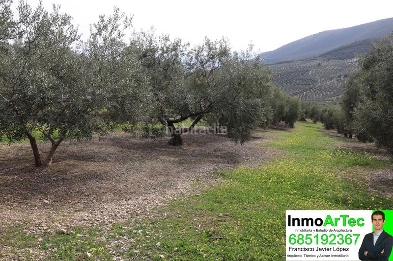 Foto 1bcbe2de-edec-4c83-a0e0-0bdc5c0699df. Finca rústica en Íllora