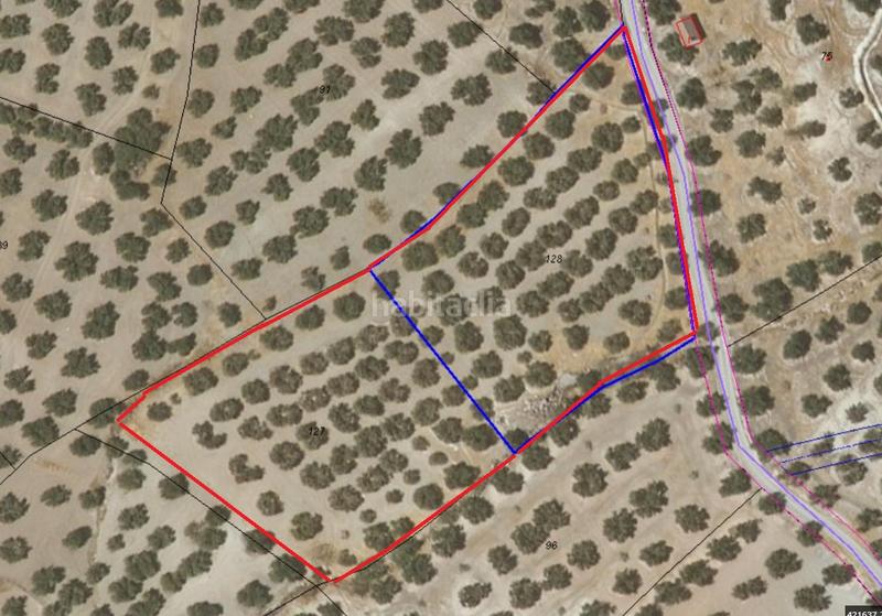 Foto f3b66cf7-756d-4d15-b010-14d0fcf425b6. Finca rústica en Íllora