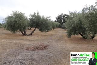 Finca rústica a Íllora