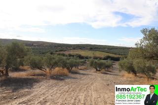 Rural plot in Belicena