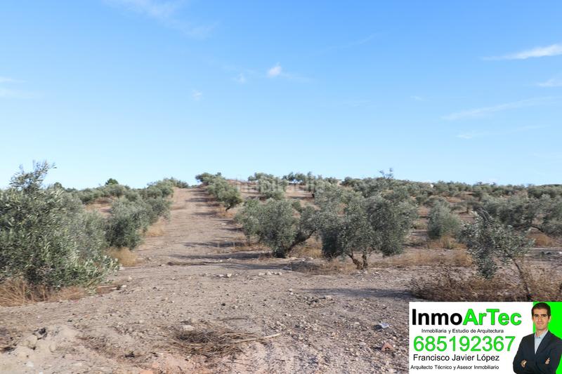 Foto a2fb6d90-4ff3-4ef0-9a8c-695023d1e687. Rural plot in Belicena Vegas del Genil