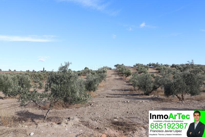 Foto 4e088e4c-30fc-4255-a9fe-cddac05e7784. Finca rústica a Belicena Vegas del Genil