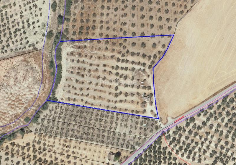 Foto d46d512d-d378-4621-9a2c-9f6936364cbc. Finca rústica a Belicena Vegas del Genil