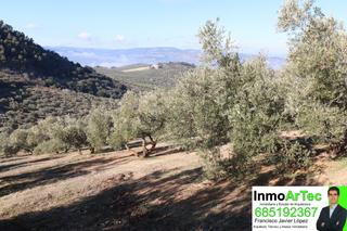 Finca rústica a Moclín