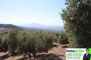 Rural plot in Calle e 10