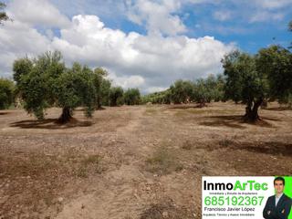 Rural plot  N/a