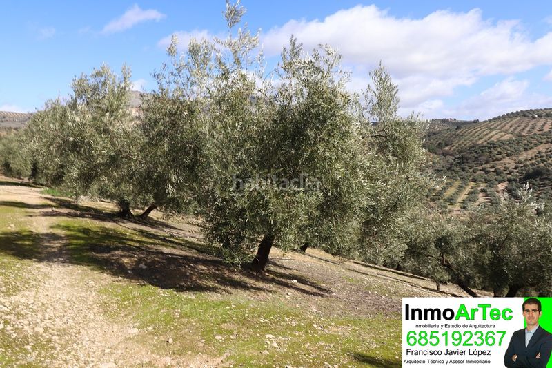 Foto 5563c577-6d87-4b1a-87c1-9bae1fd95282. Country house in n/a in Íllora