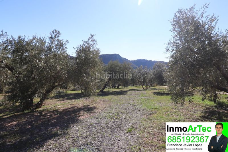 Foto b0bbfa4e-99ac-41eb-baa9-e5ccb277276d. Casale in n/a in Íllora