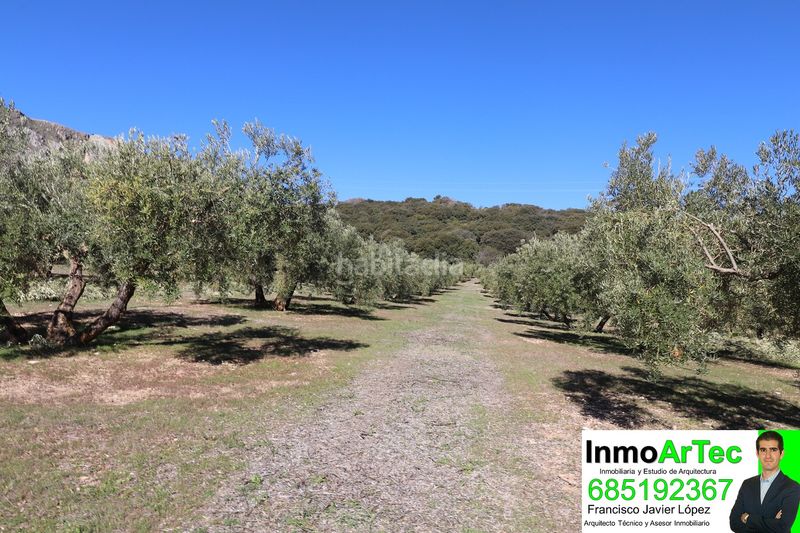Foto d740b622-04b2-4caa-ab0e-41f86a616e26. Casale in n/a in Íllora