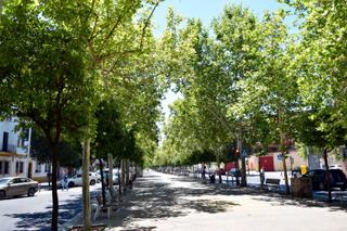 Pis a Ciudad Jardín - Zoco