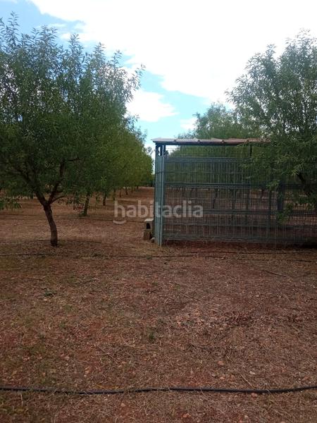 Foto 21d90802-c4ec-4f30-a9fd-c5ab58f20857. Finca rústica en Alcácer