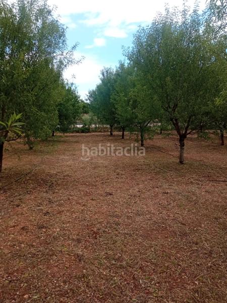 Foto 46955bb9-7b60-442e-b65c-a86a2e21c40e. Finca rústica en Alcácer