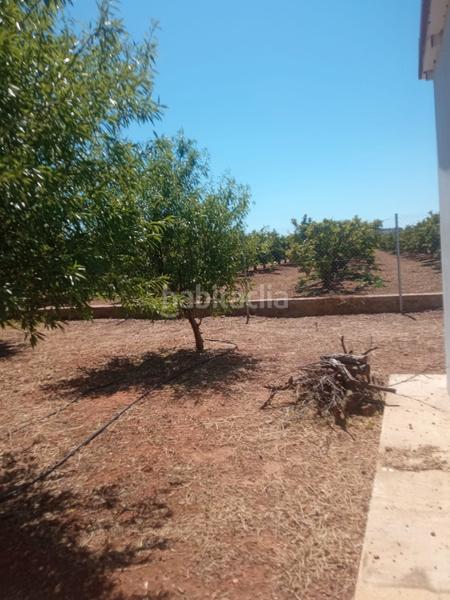 Foto 4c8ad194-ba35-4e96-98e7-73abaae4827a. Finca rústica en Alcácer