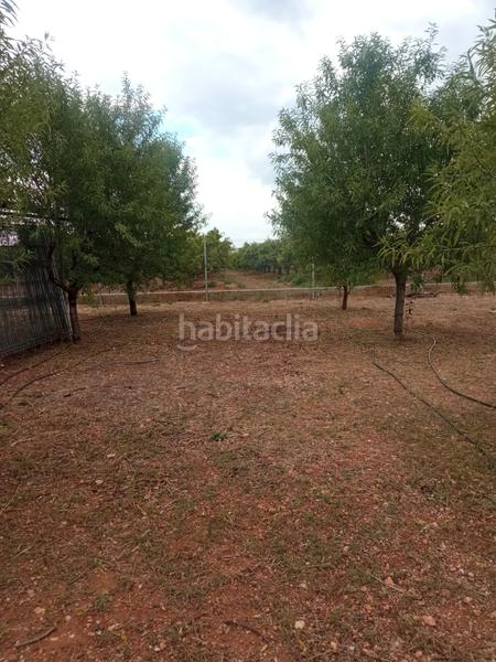Foto 55837e6e-04d8-49f1-b79e-ccdf33875a6f. Finca rústica en Alcácer