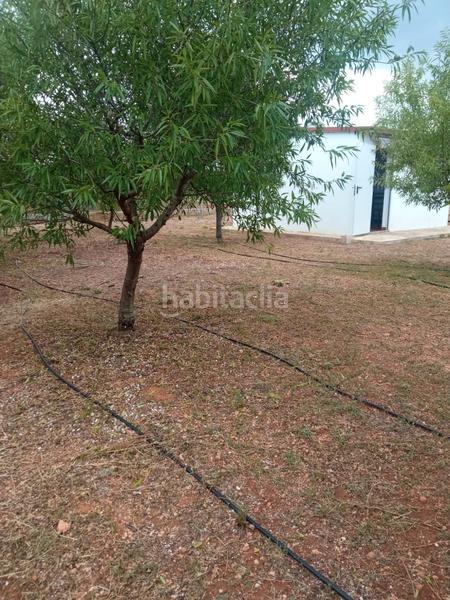 Foto e20d20ac-59c2-4015-af2a-2e2790df73a9. Finca rústica en Alcácer