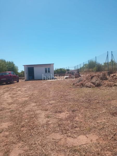 Foto e863c016-da5c-45f5-a070-83725fd7164a. Finca rústica en Alcácer