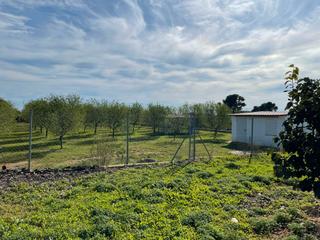 Rural plot in Plaça numero 12 2
