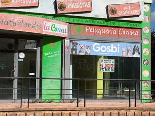 Lloguer Local Comercial a Avinguda lluís companys 1a. Local en lloguer a montblanc