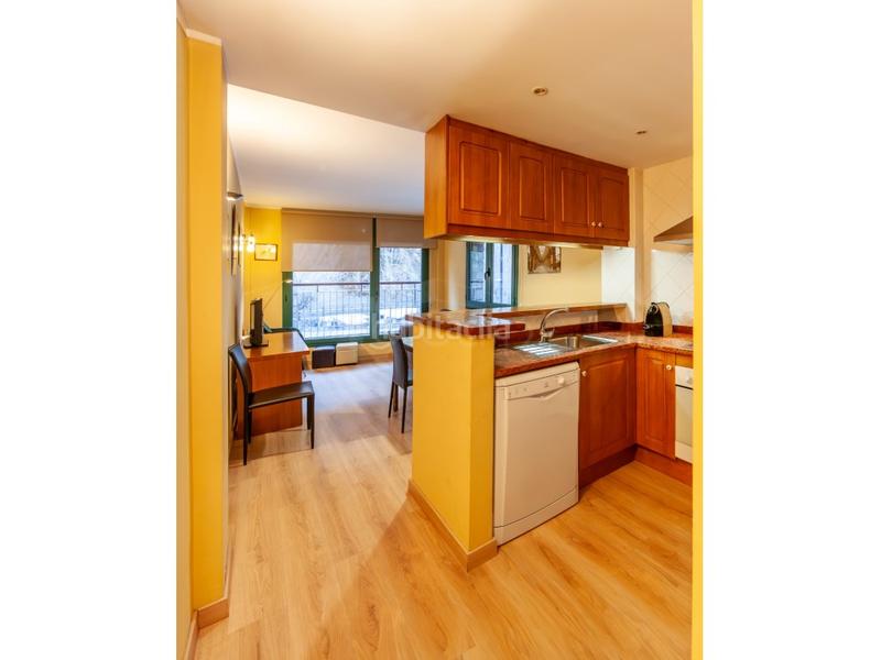 Foto ded87d6a-5af6-439e-b45f-525954a7d983. Apartament amb aparcament a Canillo Canillo