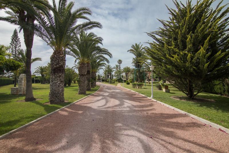 Foto 934adf08-8d52-4048-8c18-1c08a7cdcfa8. Chalet en Valverde Elche / Elx