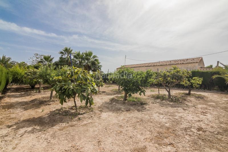 Foto c1611fe5-e3a6-4b7d-9fa7-0fb1ccf42587. Chalet en Valverde Elche / Elx