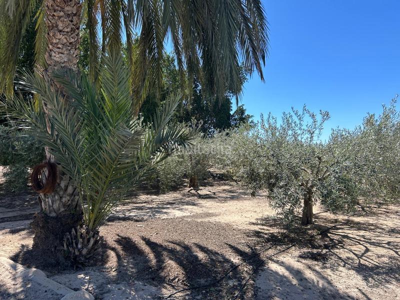 Foto 273792a9-30bd-4ceb-a929-5842f313f27e. Chalet mit parking in Centro Elche / Elx