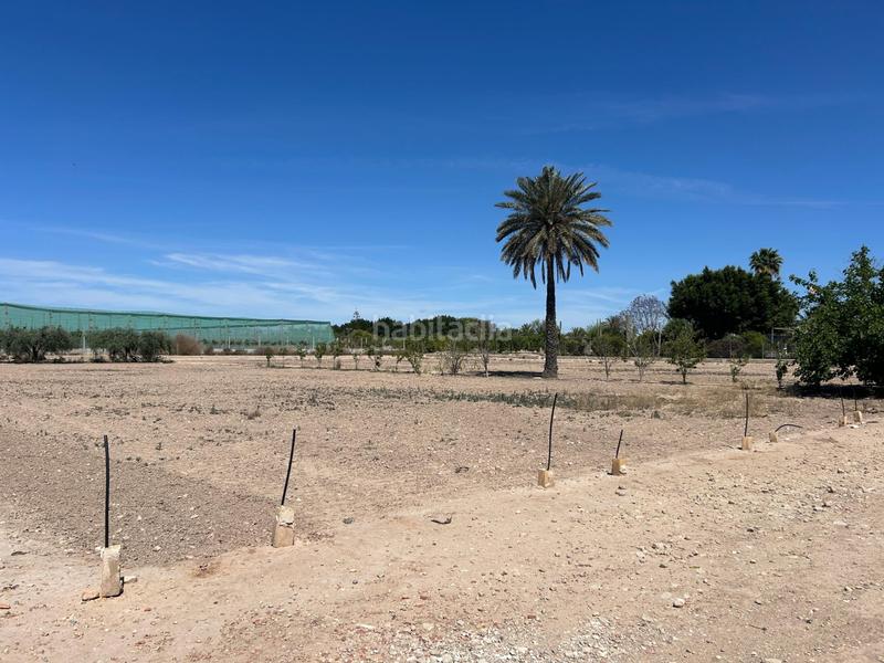 Foto 31e14a08-1f33-484f-b180-26418a6d012b. Chalet mit parking in Centro Elche / Elx