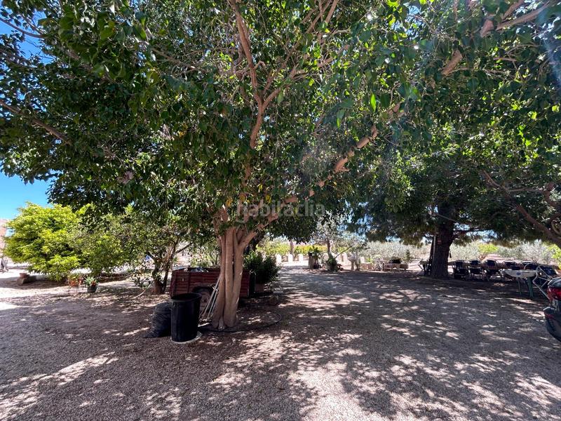 Foto c94885a6-ed41-419c-8929-849f639ea1ab. Chalet mit parking in Centro Elche / Elx