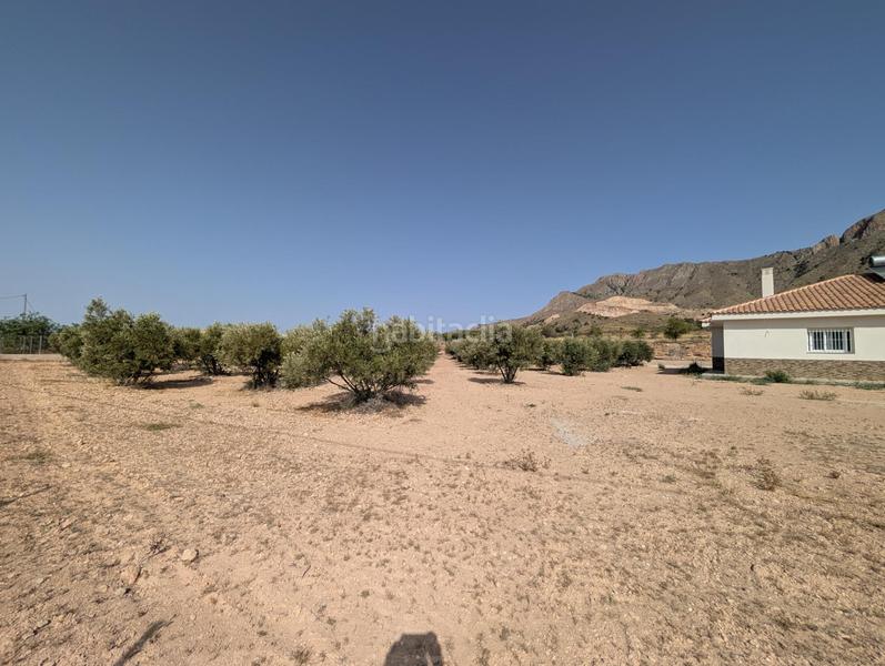 Foto 02e63654-e9b1-498d-9377-d1d34e136084. Chalet descubre tu nuevo hogar en macisvenda! en Abanilla