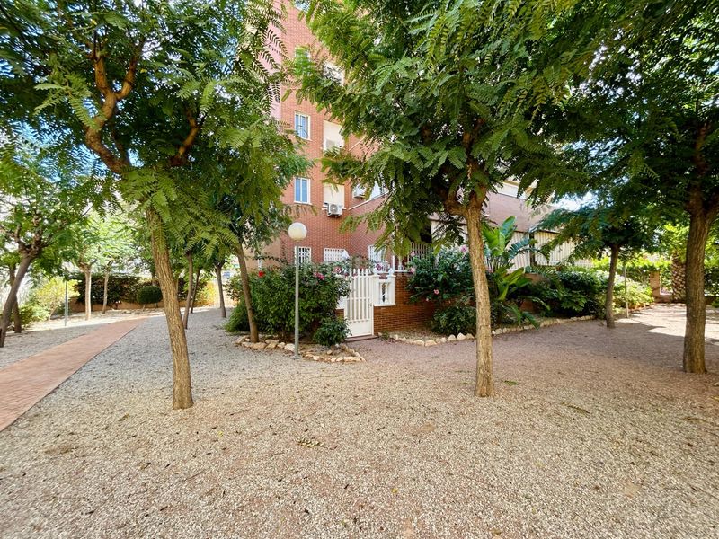 Foto 0320f022-ad4f-418f-9046-6f210095cf4a. Casa amb calefacció aparcament piscina a Ciutat Jardí - Torreta Verdí Elche / Elx