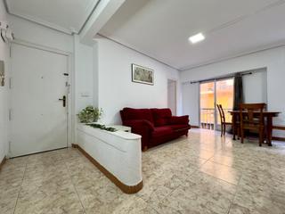 Appartement  Calle carmelo serrano garcia. Entresuelo a unos pasos de av. novelda